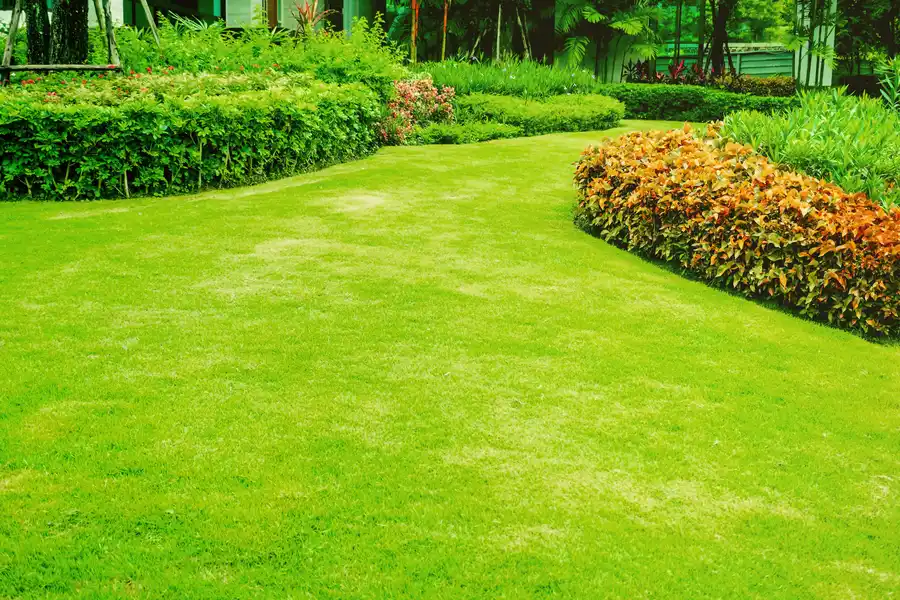 Landscaping